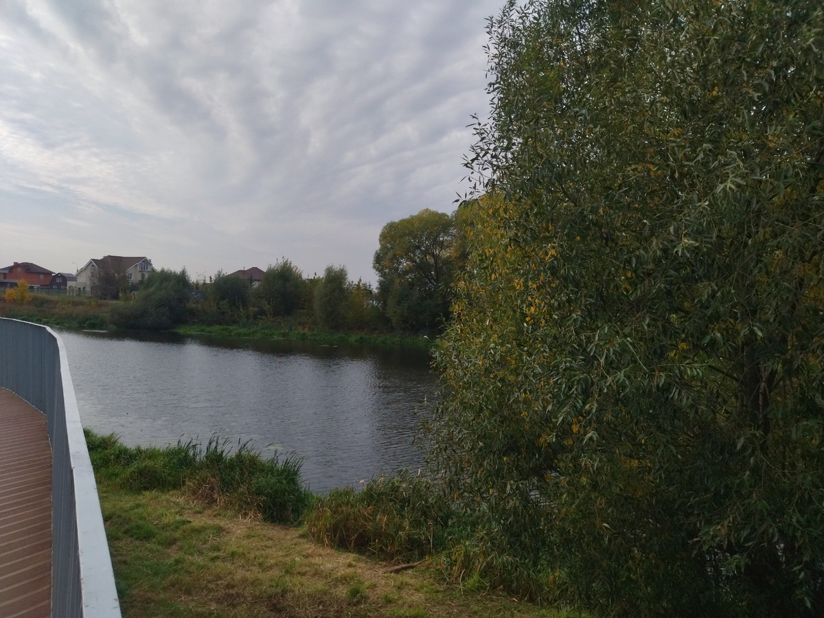 Для обложки