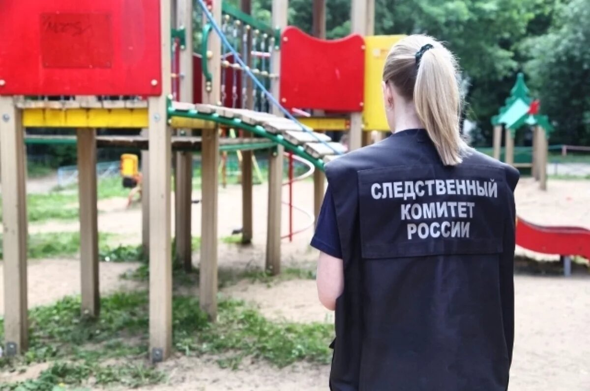    Почти половина обращений в СК Новосибирской области не по делу