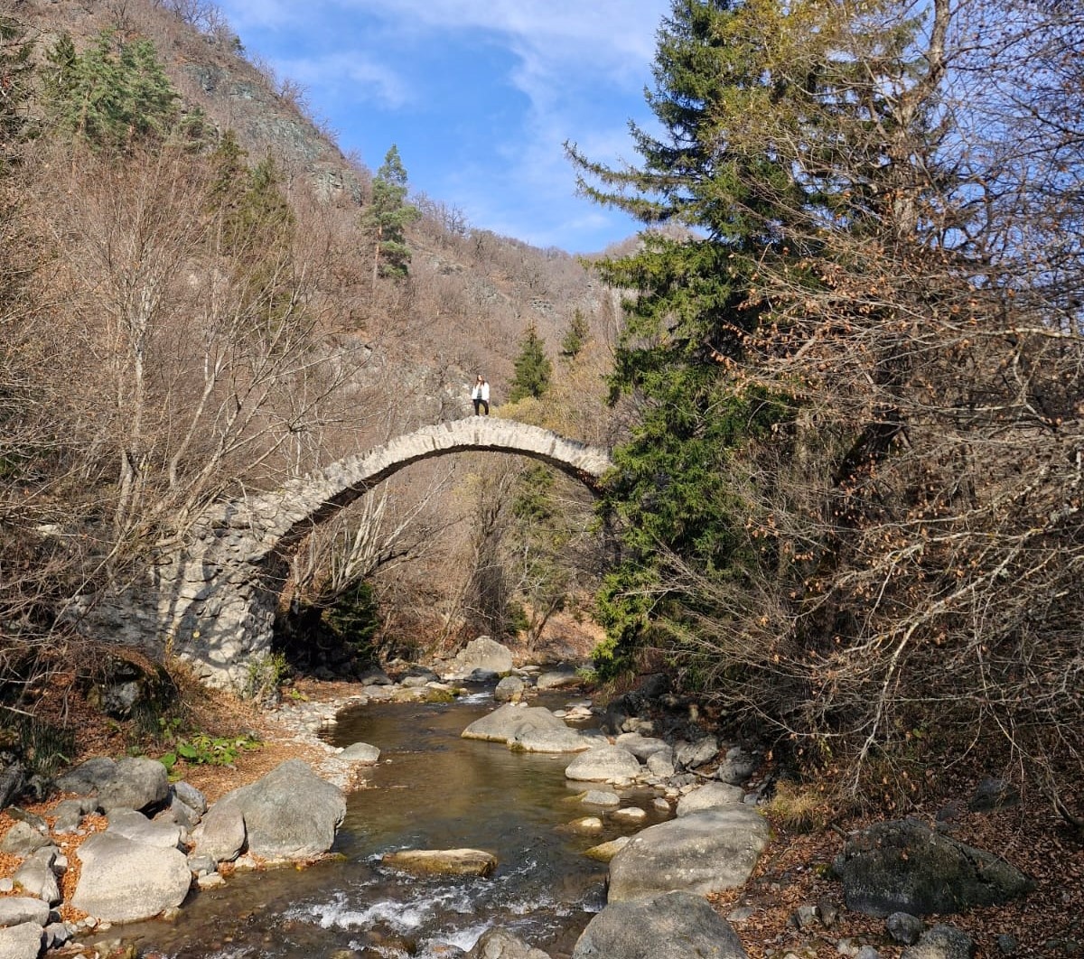 Мост царицы Тамары в Ркони