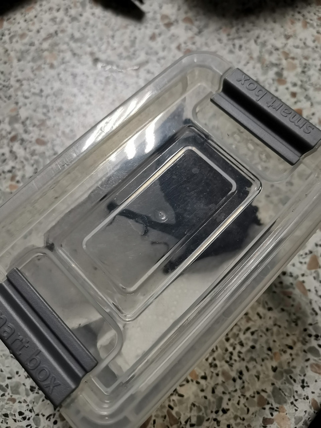    В кировском бизнес-центре спасли летучую мышь, проснувшуюся во время ремонта