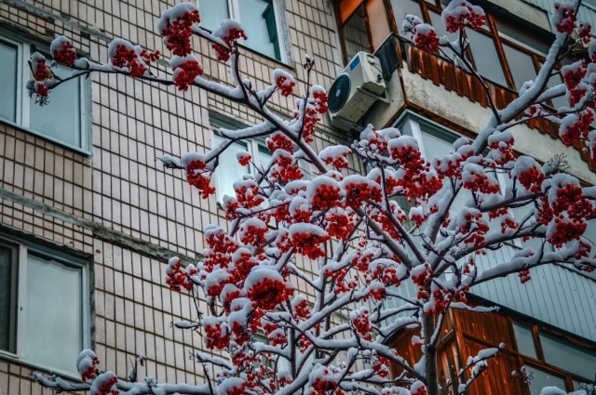    До -6 градусов прогнозируется в Псковской области 18 ноября