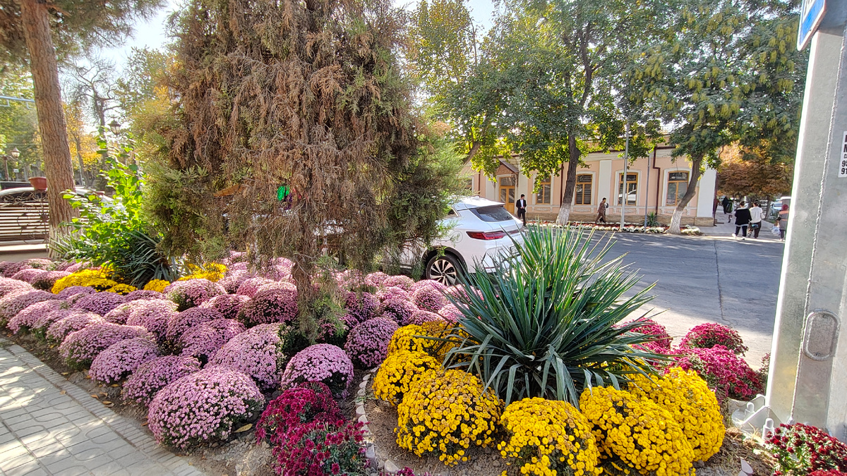 И много такого, что теперь всегда будет мне напоминать Узбекистан
