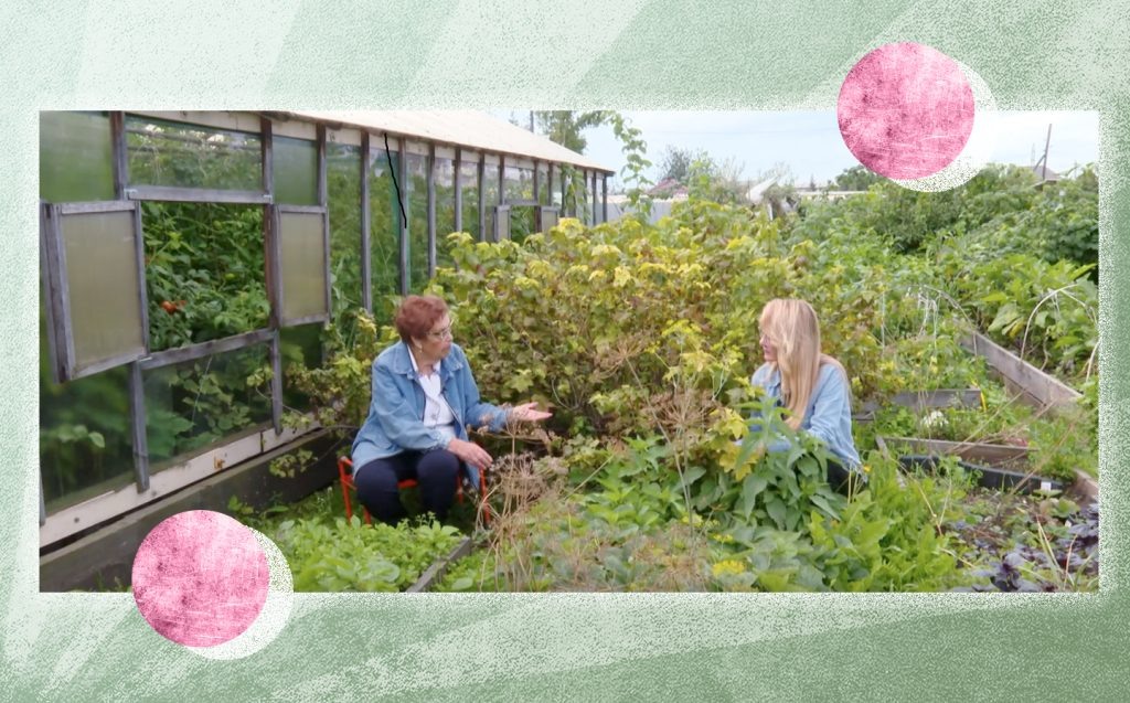 В августе в программе «Академия на грядках» обсуждали заболевания смородины и как с ними бороться. Источник: официальное сообщество телеканала «АКТИС» в социальной сети «ВКонтакте»