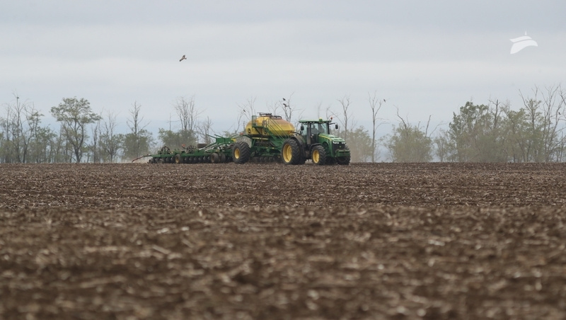      Фото: Дмитрий Ахмадуллин / ИА «Победа26»