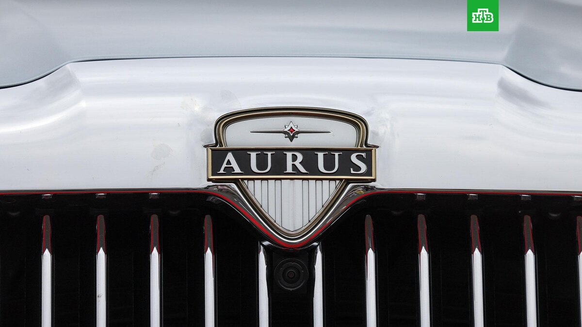    Фото: SERGEI ILNITSKY / EPA / TASS