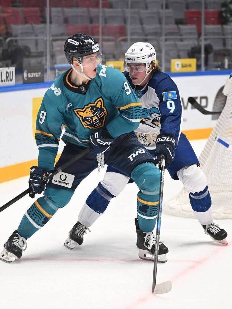     Фото: t.me/sochihc