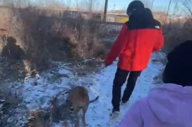    Фото: соцсети