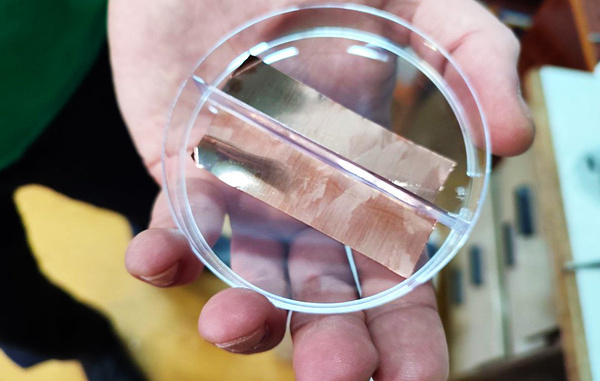 Ирина Баранова/Официальное издание СО РАН "Наука в Сибири"