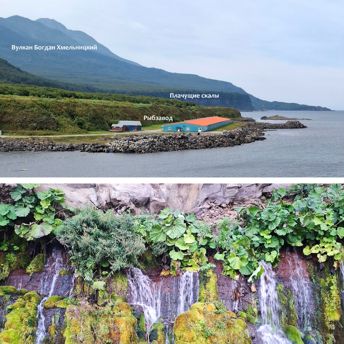 Верхняя тропа идёт у подножия вулкана Богдан Хмельницкий, частично по лесу, а потом, огибая территорию рыбзавода, спускается на берег и ведёт к Плачущим скалам. Фото автора.