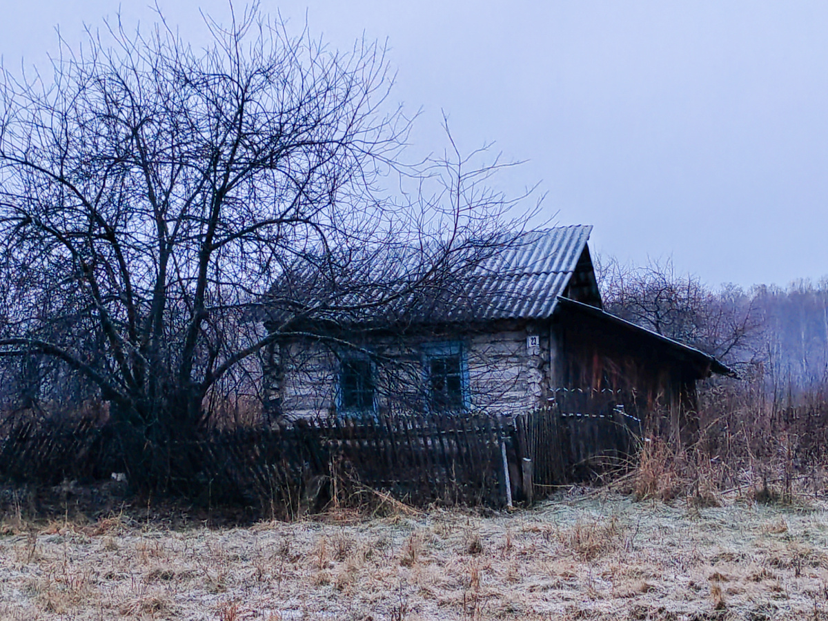 Вымирает деревня. В ноябре это особо бросается в глаза