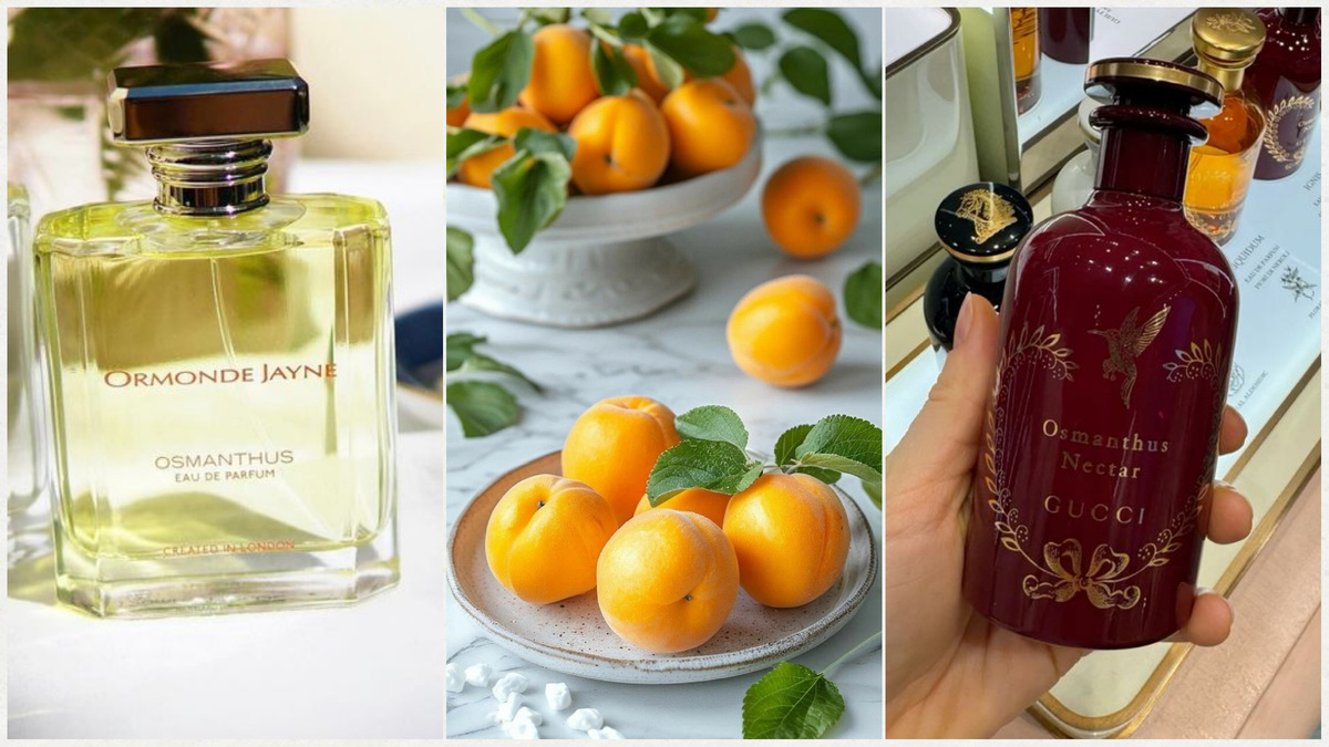 Османтус пахнет сочетанием персика и кожи.