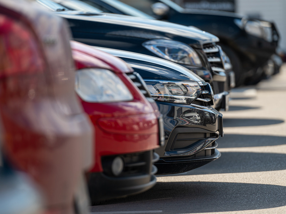    Фото: istockphoto.com/Askolds