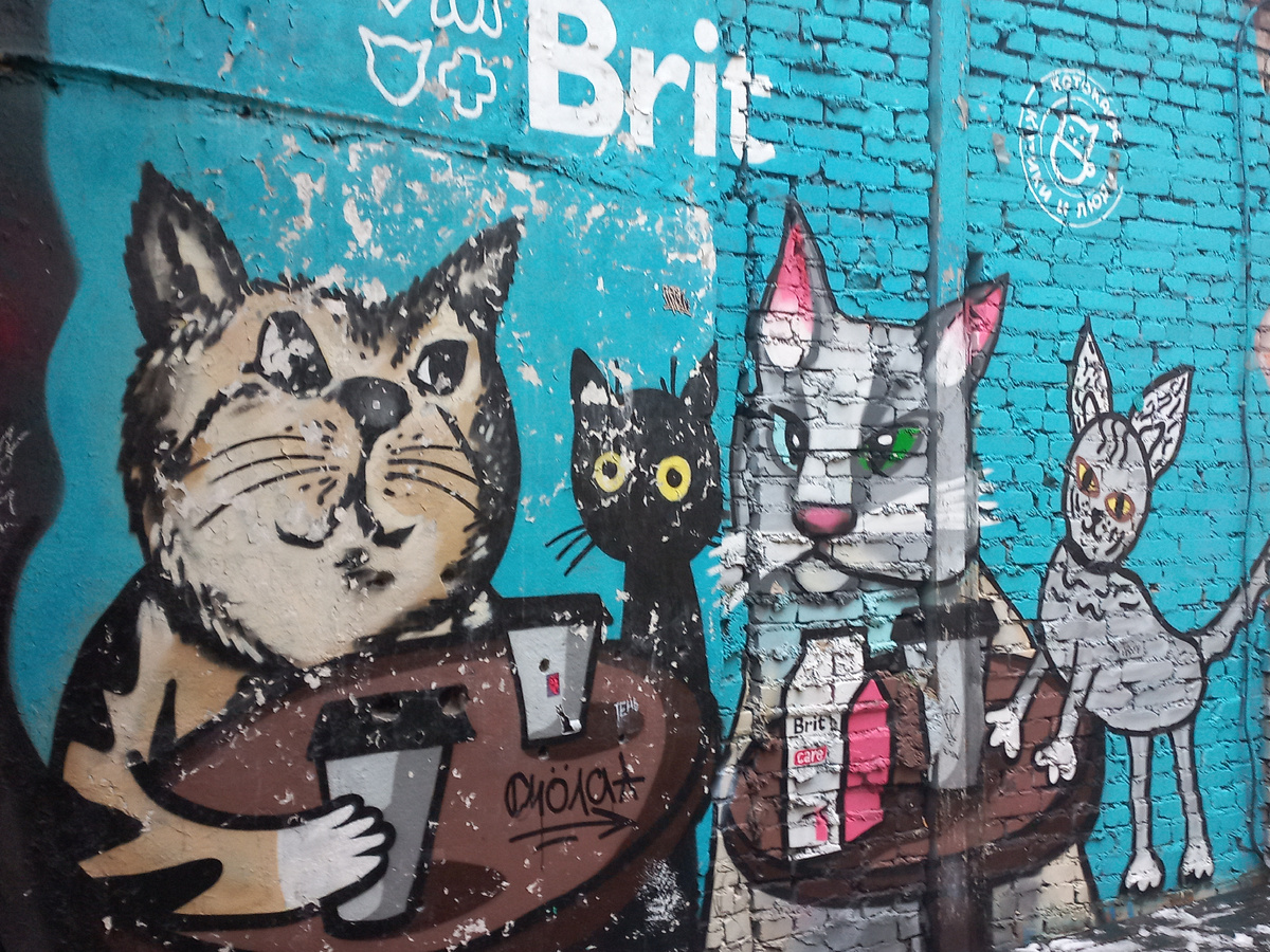 Фото автора статьи @Лана-Мастерица Котокафе