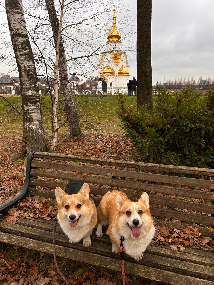На фоне часовни в честь святого мученика Трифона! Построена в 2012–2013 годах. 
