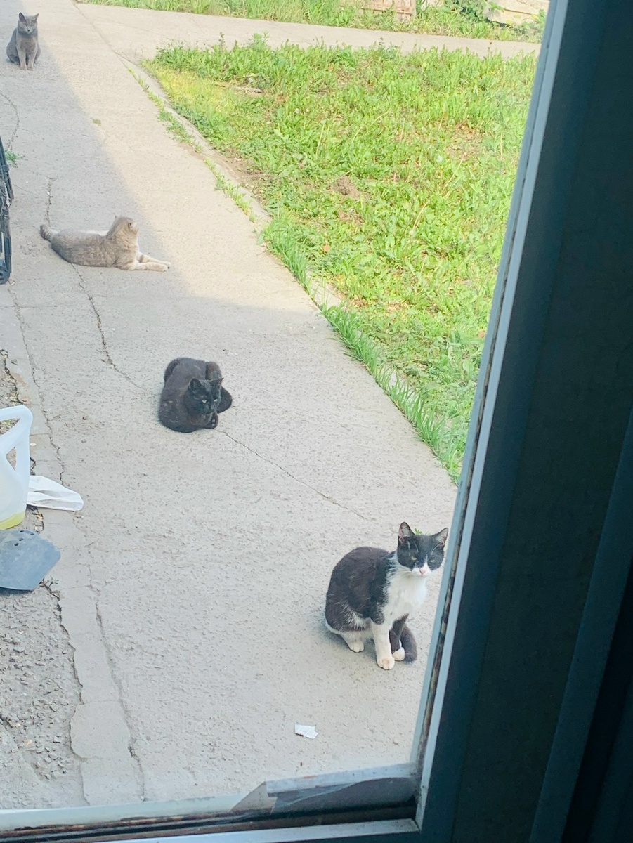 Ждут меня, точнее еду