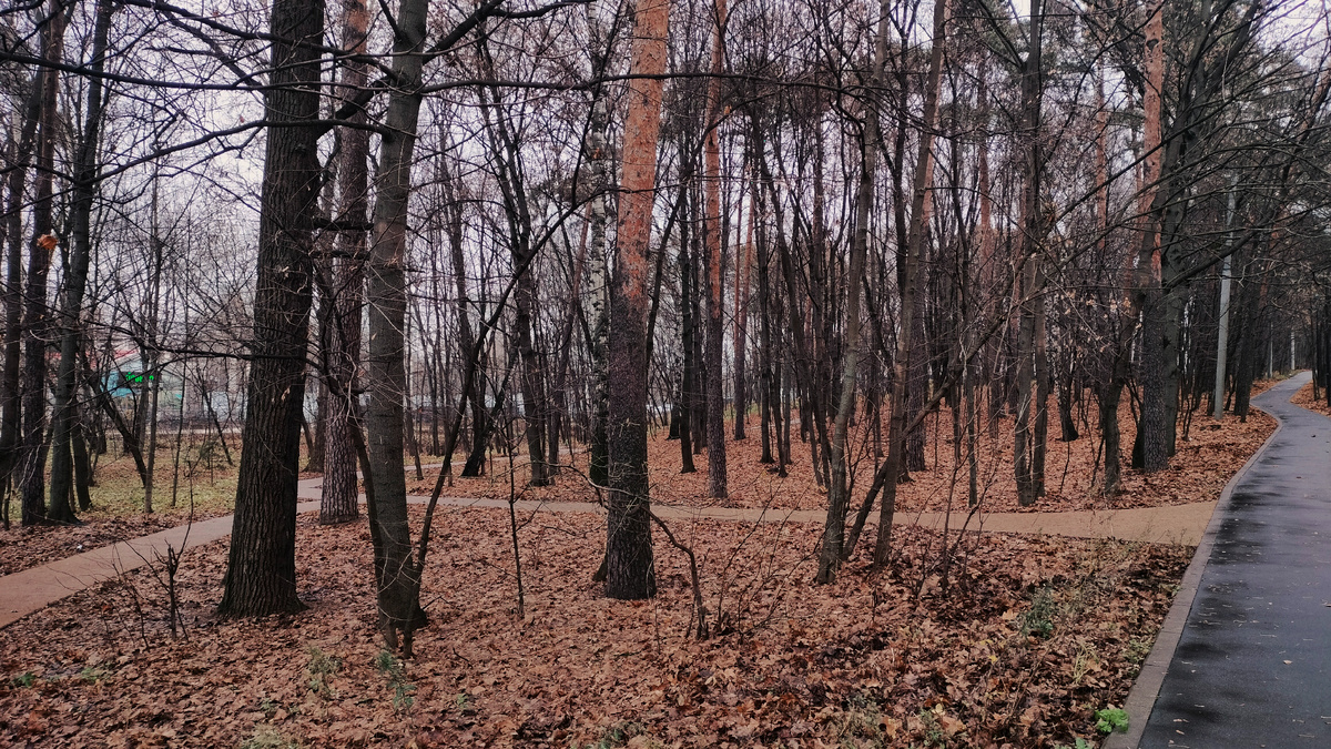 Несколько дорожек на соседнюю улицу и к фестивальной площадке
