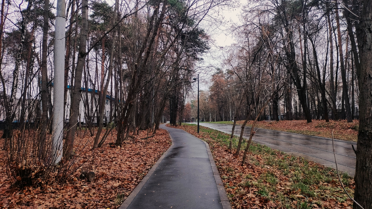 Основной путь вдоль трамвайной линии. Ведёт к остановке «Диспансер»