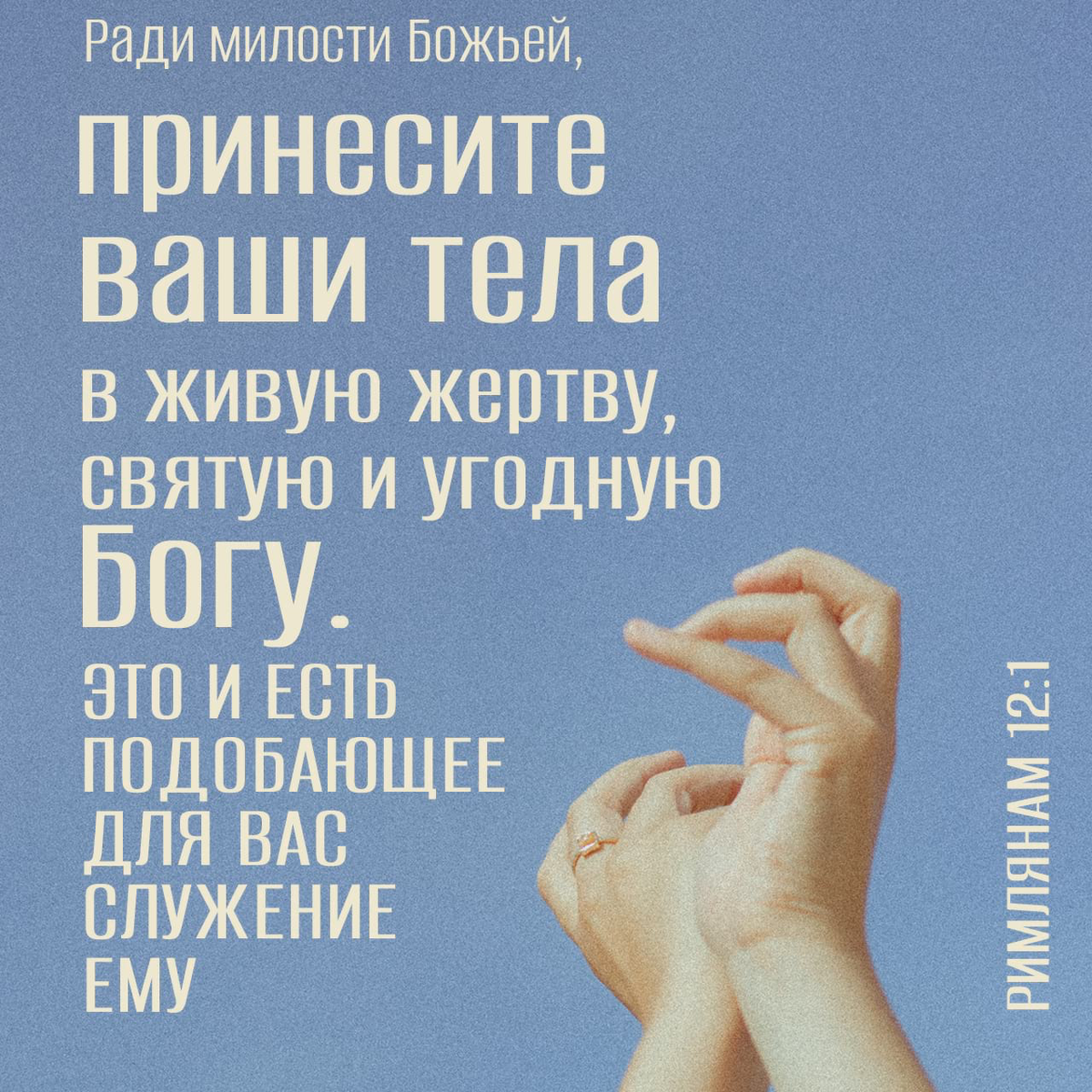 Картинка взята из общего и свободного доступа в интернет