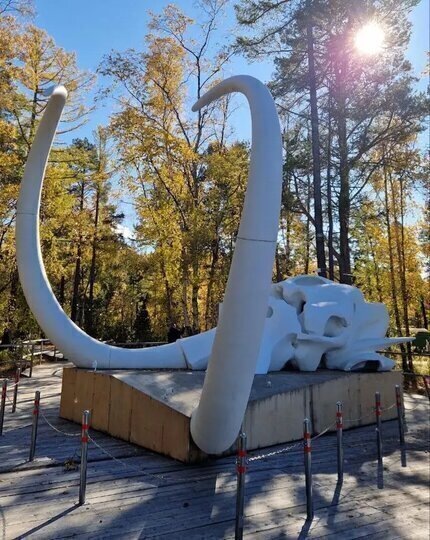    Виктория Мельникова