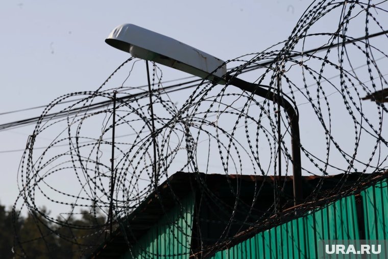     Руслана Магомедова отправили в СИЗО до 14 января 2026 года