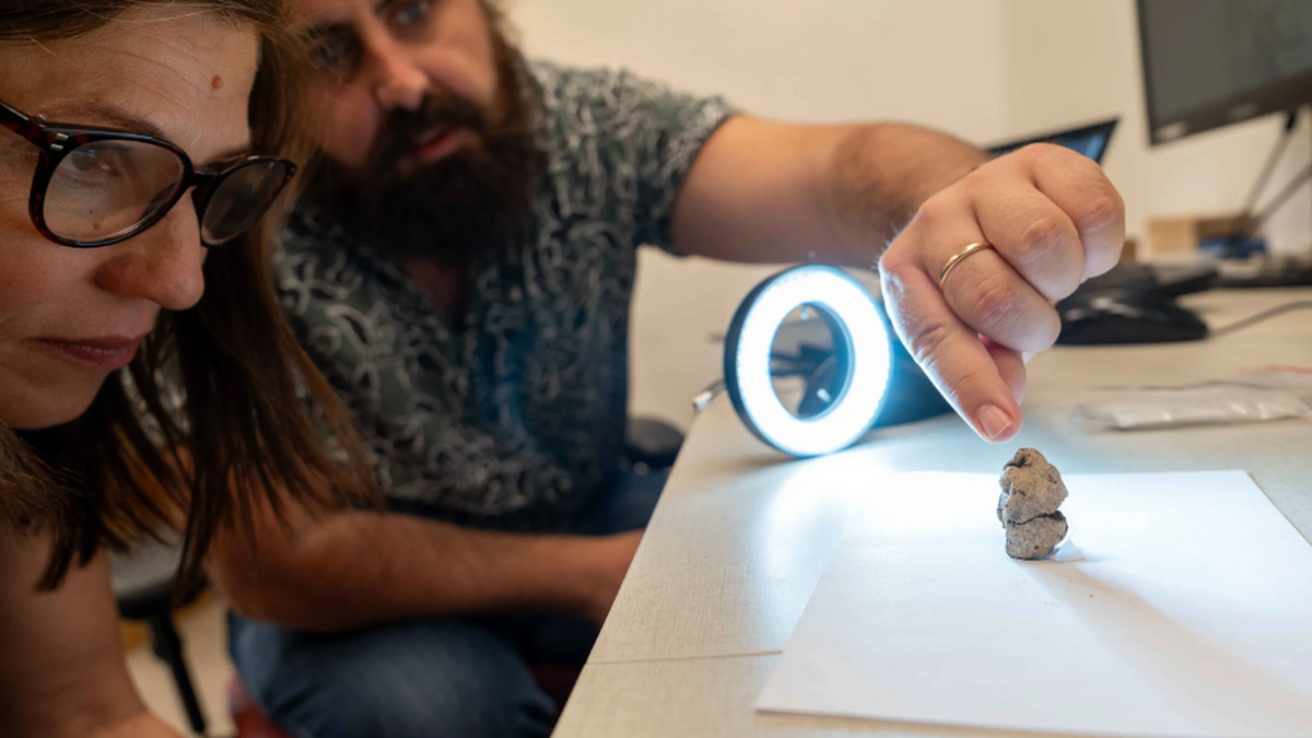    Профессор Леоре Гросман и доктор Лоран Давин с фигуркой. Автор: Хадас Голдгейер