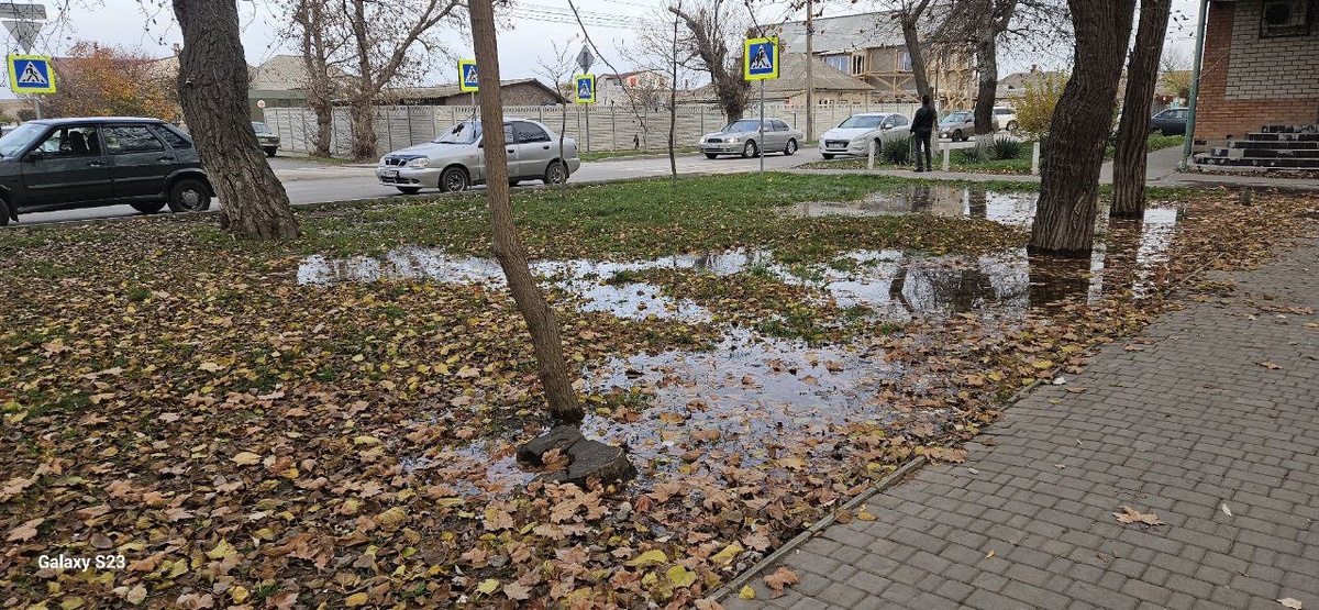    Фото: администрация Генического округа