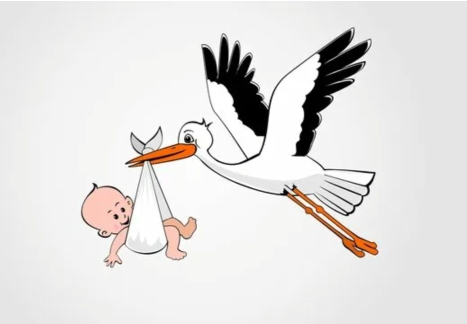 Яндекс-картинки 