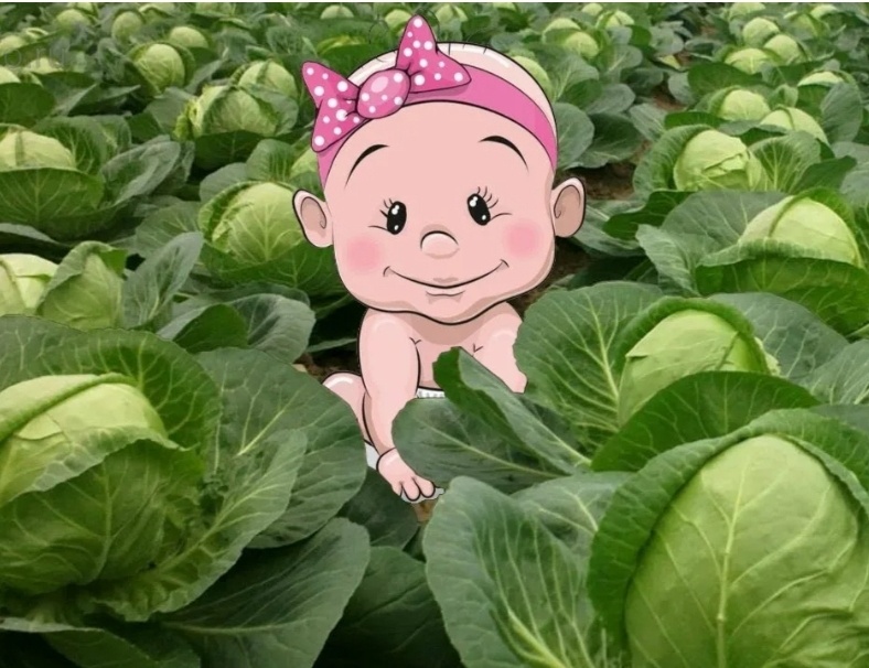 Яндекс-картинки 