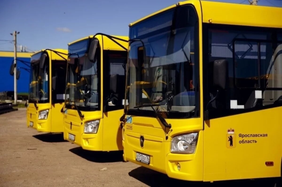    В Ярославле ищут перевозчика на новый автобусный маршрут