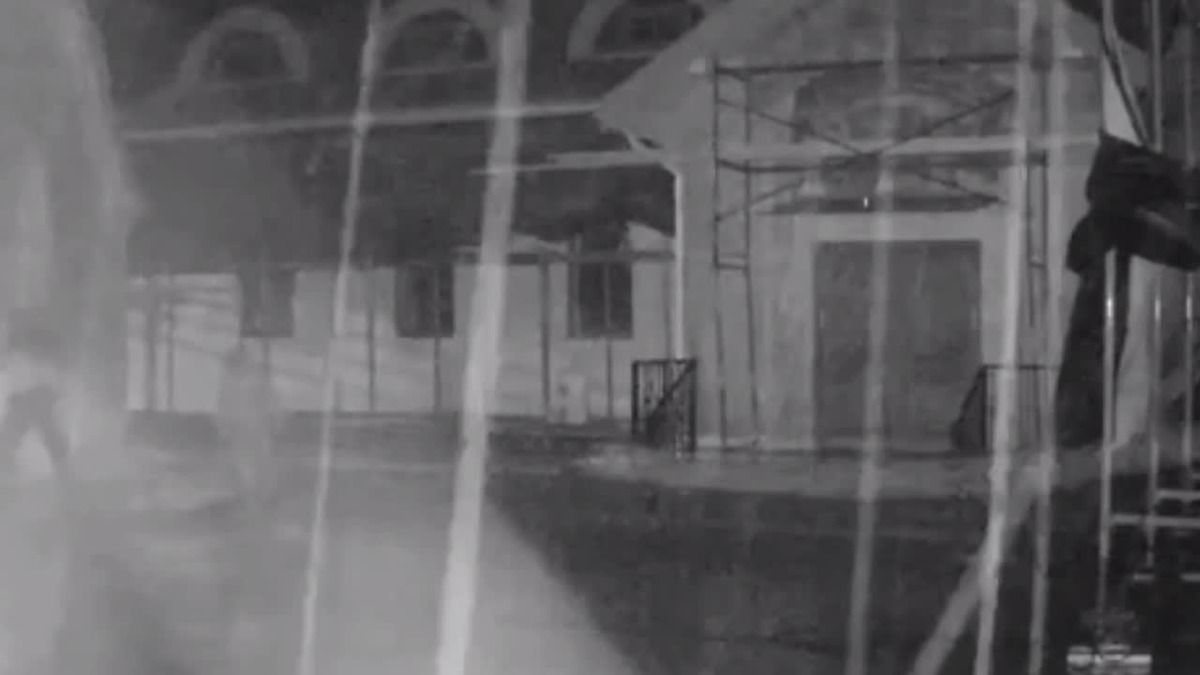    © Анастасия Илюшина / ЛенТВ24. Архивное фото