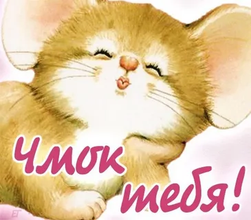 фото из соцсетей