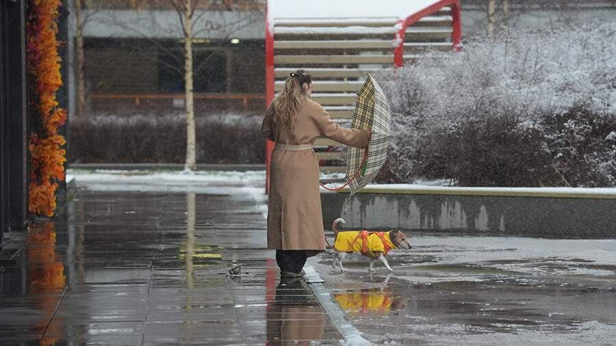    Фото: ИЗВЕСТИЯ/Андрей Эрштрем