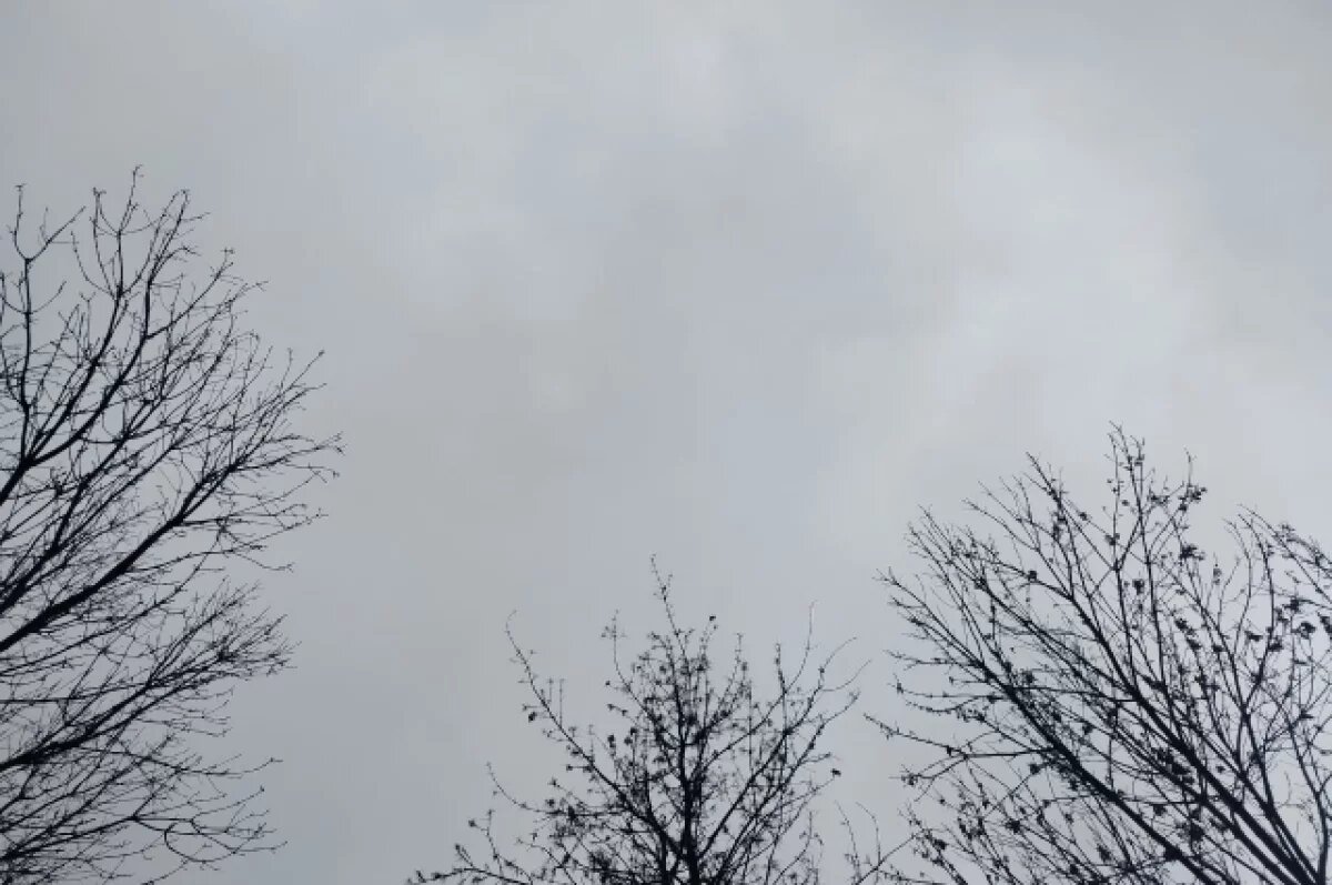    В Калужской области ожидаются дождь со снегом