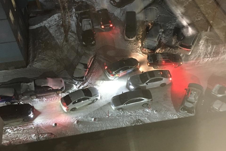    Фото и видео предоставлено героями публикации