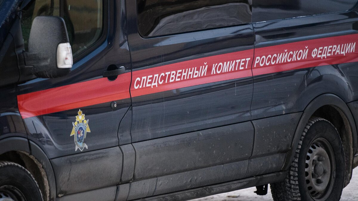    Фото: Ilya Moskovets/globallookpress.com