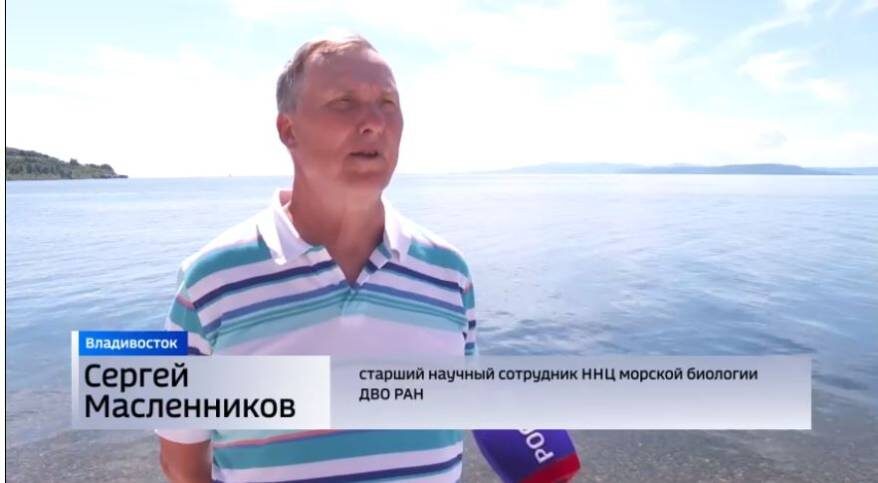    Источник фото: