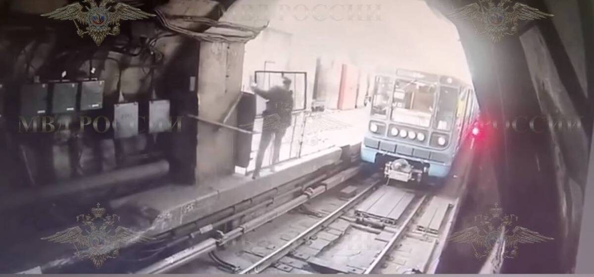    Фото: Скриншот видео / Ирина Волк / Telegram