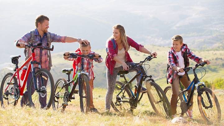  Фото: Shutterstock