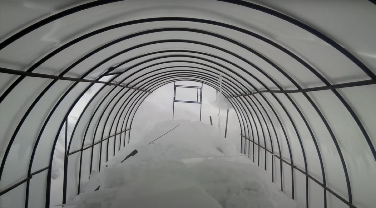 Календарь садовода-огородника с 20 по 25 ноября 2025 года