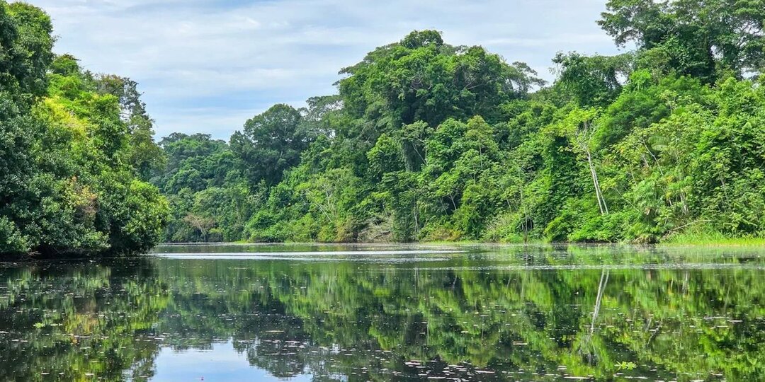 Величие водных артерий: какая река самая большая в мире?