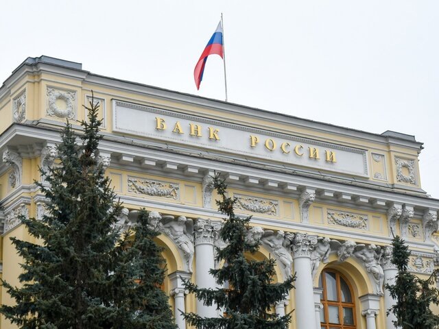    Фото: Москва 24/Никита Симонов