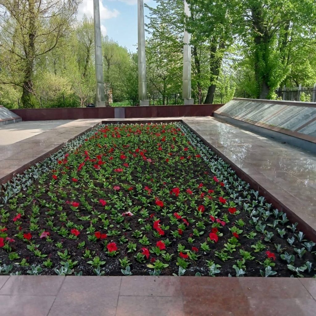     Фото: администрация Воронежа