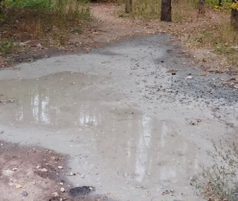     Фото: принтскрин с видео