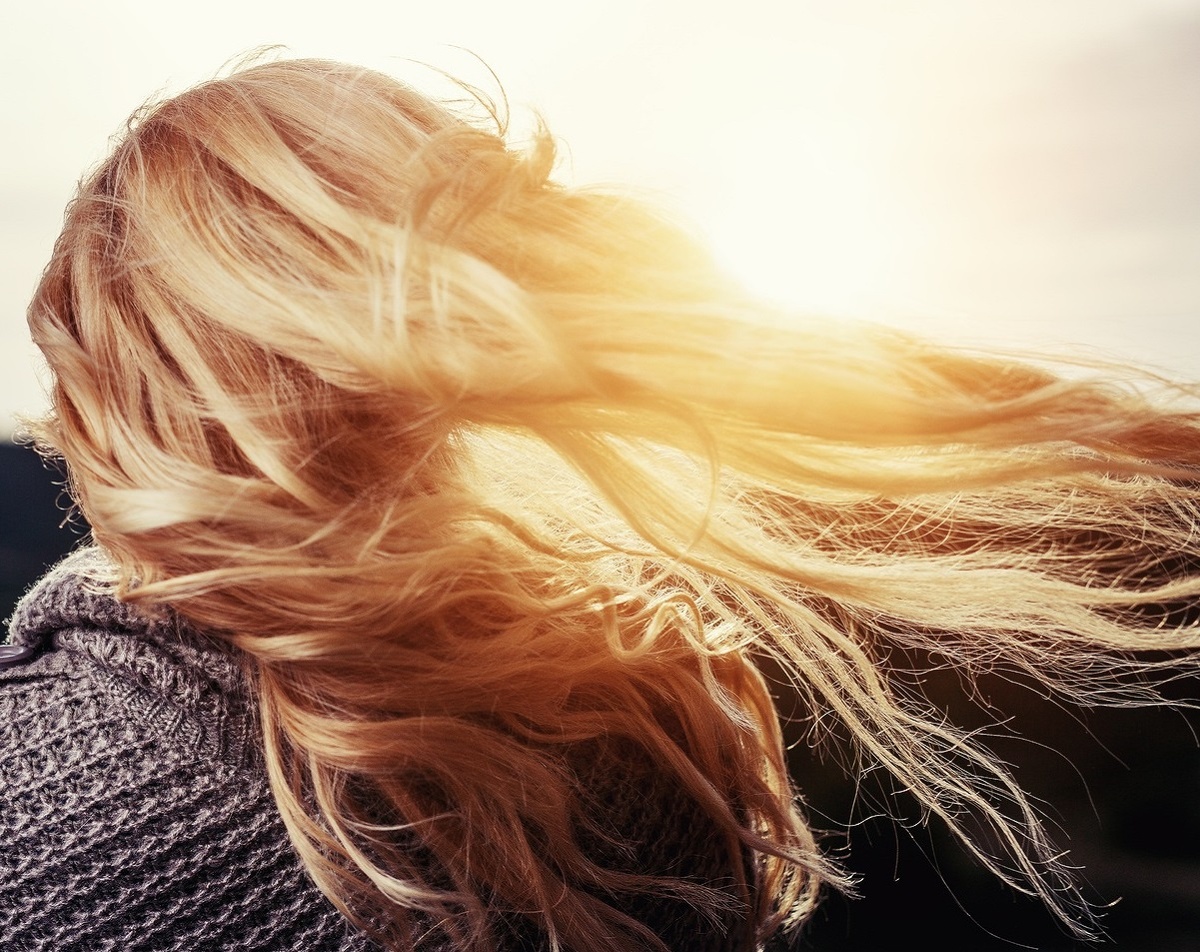     Фото: pxhere.com