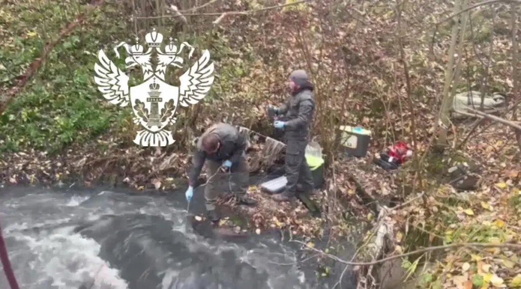    Место сброса грязной воды, принадлежащей Водоканалу, в Муринский ручей. Фото: скриншот из видео пресс-службы Росприроднадзора по СЗФО