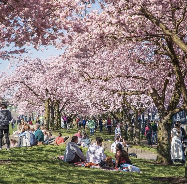 Парк Уэно — один из самых известных и посещаемых парков японской столицы, расположен в районе Тайто города Токио