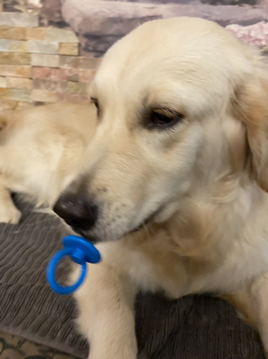 Моня типичный экстраверт показывая это каждым своим движением.