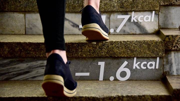  Фото: Антон Гердо / Вечерняя Москва