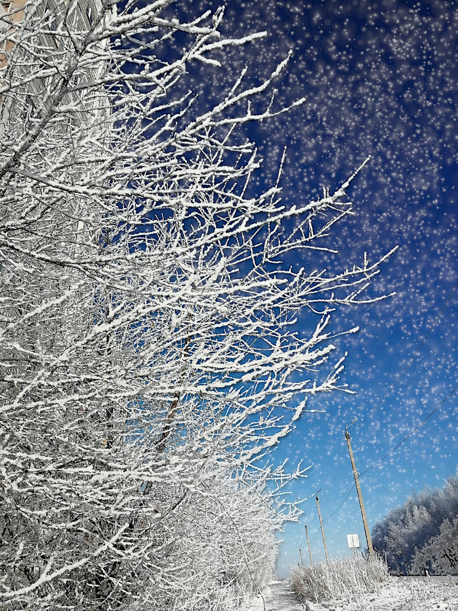 просто красивые зимние картинки. снег украсил деревья