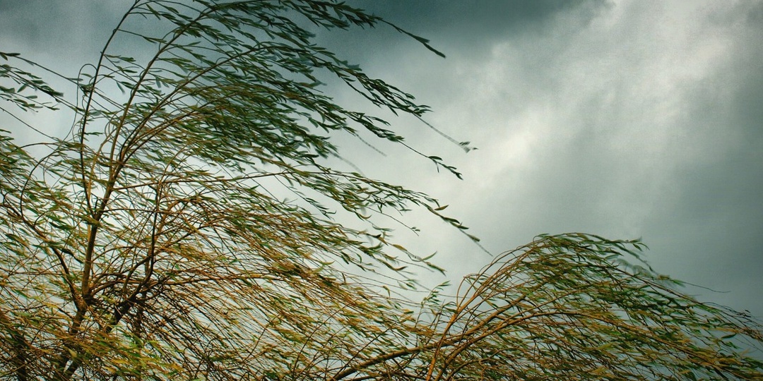 Шкала Бофорта: Как ветер обрел голос и спас тысячи жизней